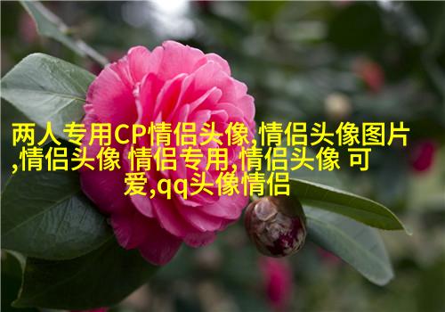 高清简笔画情侣头像小人图片大全(共18张)